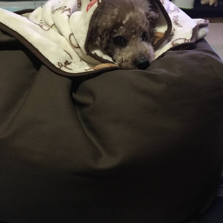 Caf4dc47 6043 4597 8941 f770334415c7 1524408237745