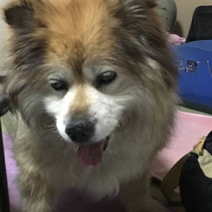 Caf4f2b3 1286 445a 97de 5548cf083efb 1596095623902