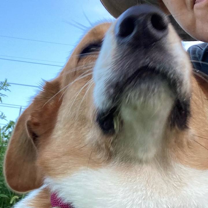 Caf4fd40 4f8f 4817 8685 a6d2dd82927c 1662164370535