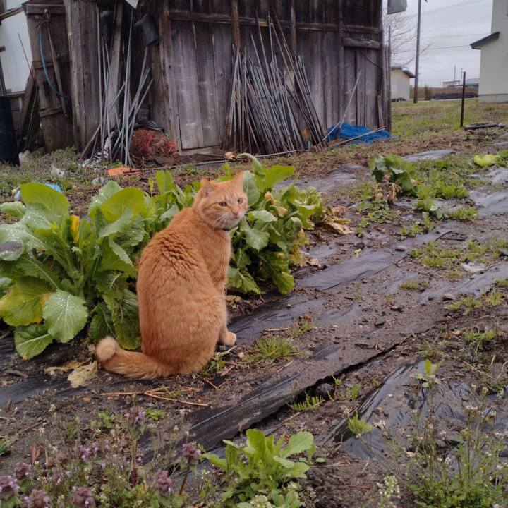 Caf50858 999a 4ddf 95cd f268f43c4e63 1681594122883