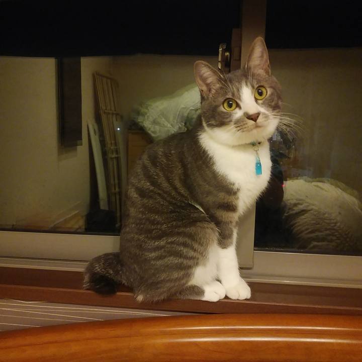 Caf526d4 4fa7 40a3 b9c0 90e8fc6c3d7a 1588077835109