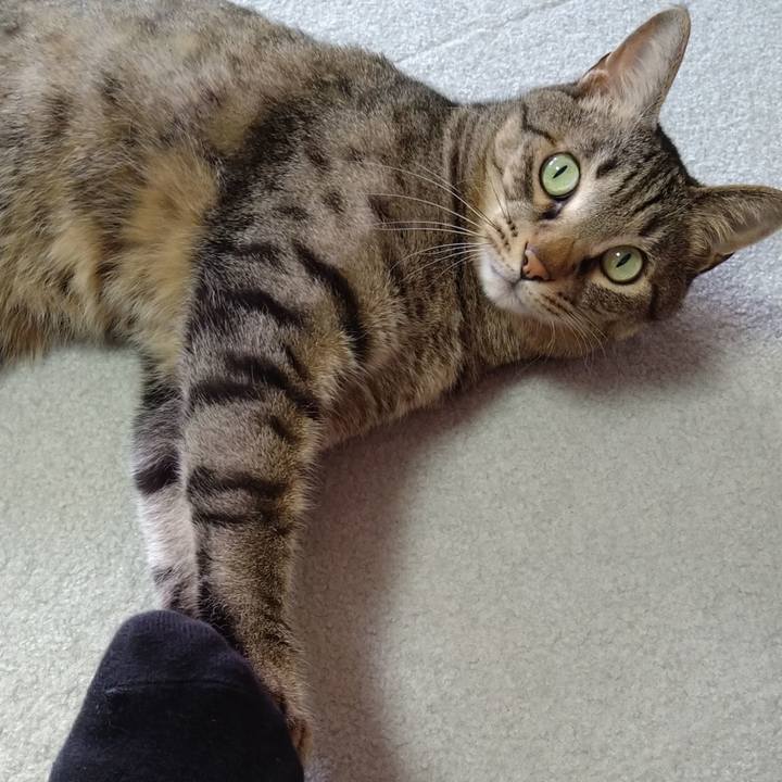 Caf52734 796b 4f18 bc14 bd0edf6ad2da 1652173006107