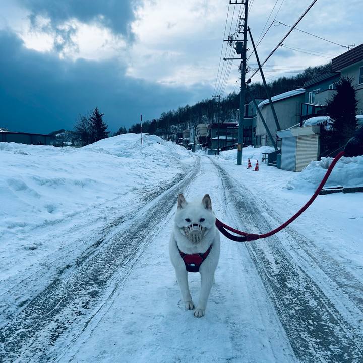 Caf52c55 cec9 4f46 a53d 028f2528c24c 1708469244985