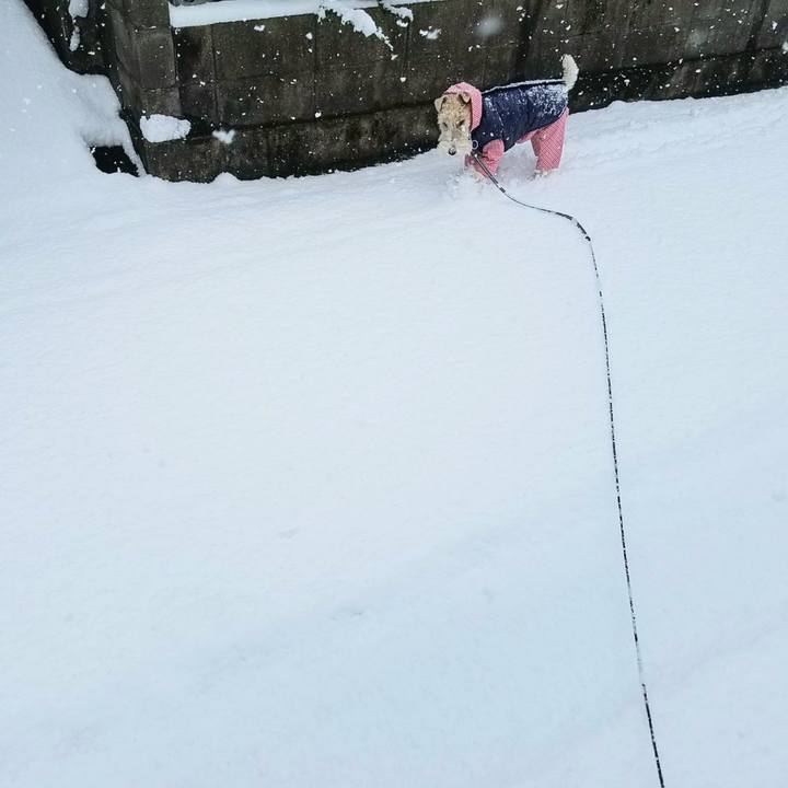 Caf54bdc 3886 434a 9104 074176e25186 1738970934008