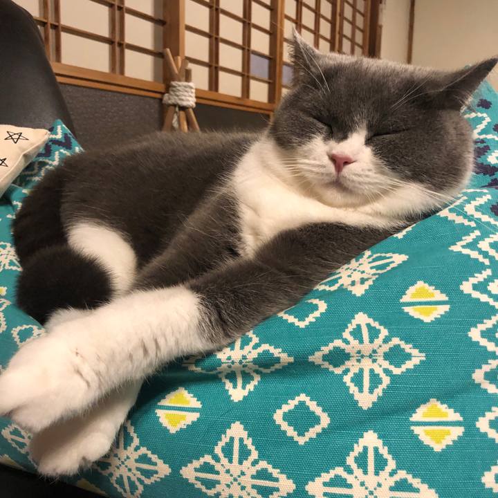 Caf56fc6 9adc 47a0 a13b e439c84324b8 1572923893844