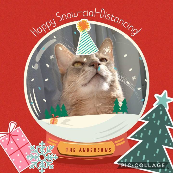 Caf57732 bbc2 4d0c 9054 848439eed1b7 1608794587726