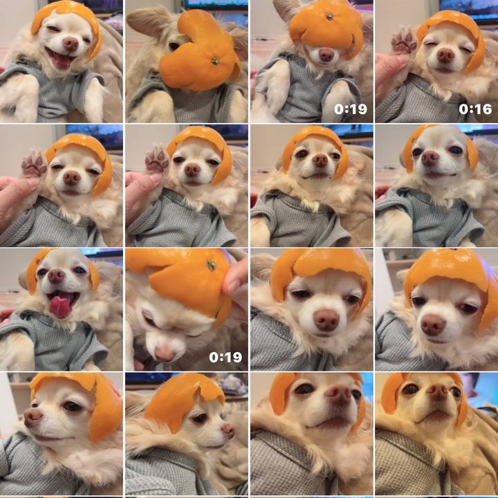 Caf580ee 6164 41d0 b779 19bb6e2327cf 1773568668213