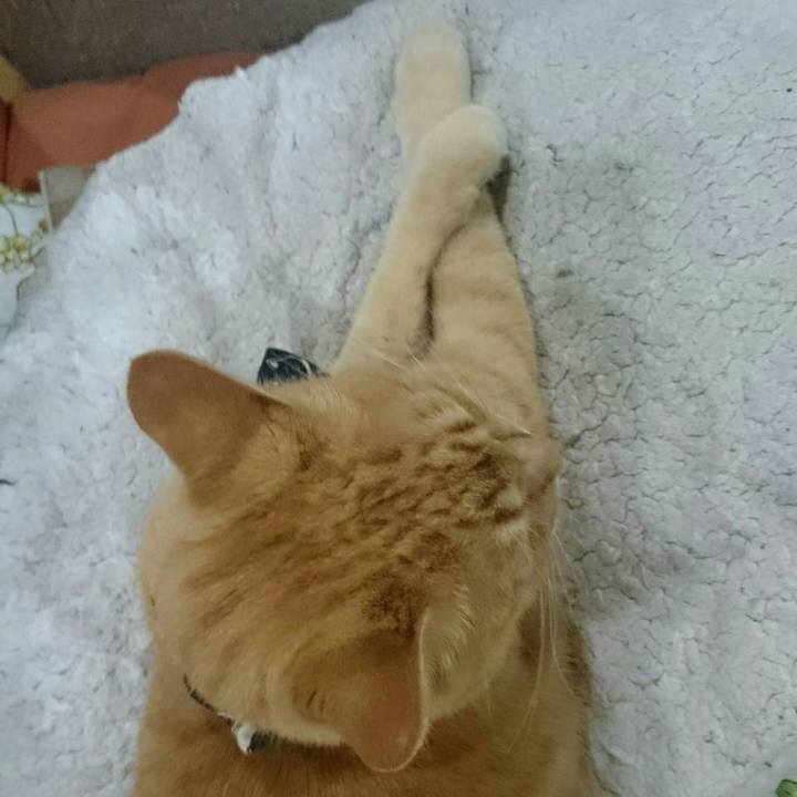 Caf5d4d6 5b23 450e 8149 235d25bb1b49 1525102094804