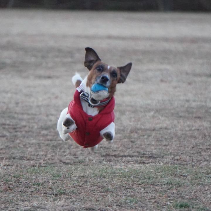 Caf5d5a1 d1fd 42dc bcdc d2ccc8c010e5 1548629510732