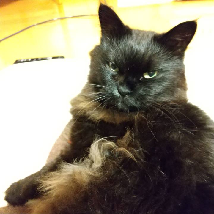 Caf5d7ed 66ef 4231 9f78 3a5861b22ad8 1581849429586