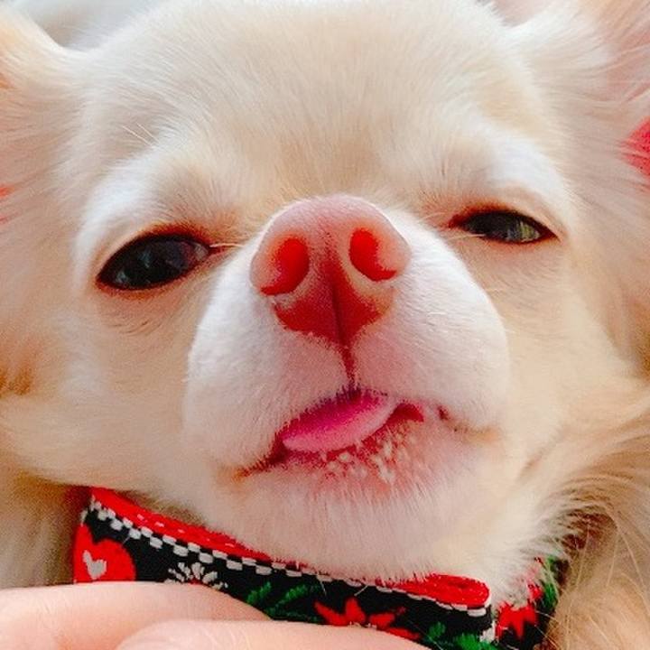 Caf5f748 d19c 4304 ab3d 463a0f2ff527 1628312941889