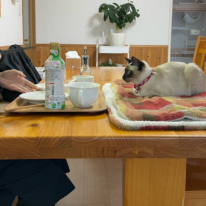 Caf5f95f 120b 402f be7c f852aba29449 1708033821623