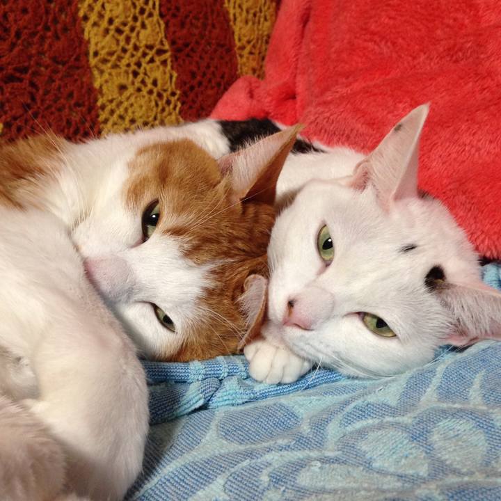 Caf6175b 1b51 4e6e af0f 22ffdccf5298 1511181667436