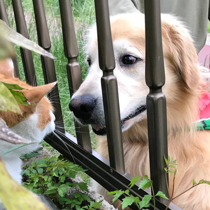 Caf62466 202e 45bc 8a22 4265dc1e714d 1525603757832