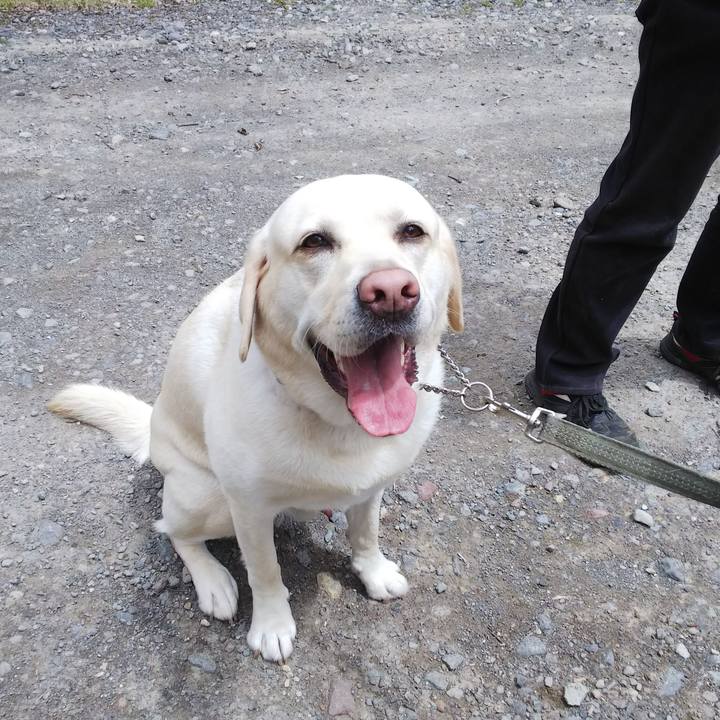 Caf63bc8 4d5f 4685 9c3f d8e70f82c856 1557117930910