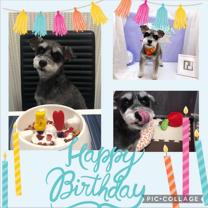 Caf643f7 a579 43dc 997f eab23c1575e1 1621335266728