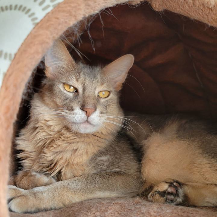 Caf6837c f830 4567 94a4 4d786ae79023 1645687700580