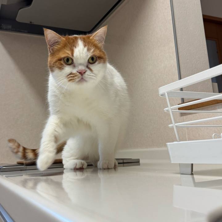 Caf68586 2c4a 483d 97d3 b5ed7e7bfade 1766370996150