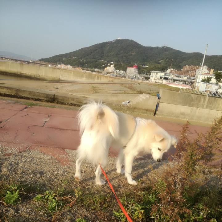 Caf69542 e613 460a 8692 cbc6ecb67e7b 1510195940048