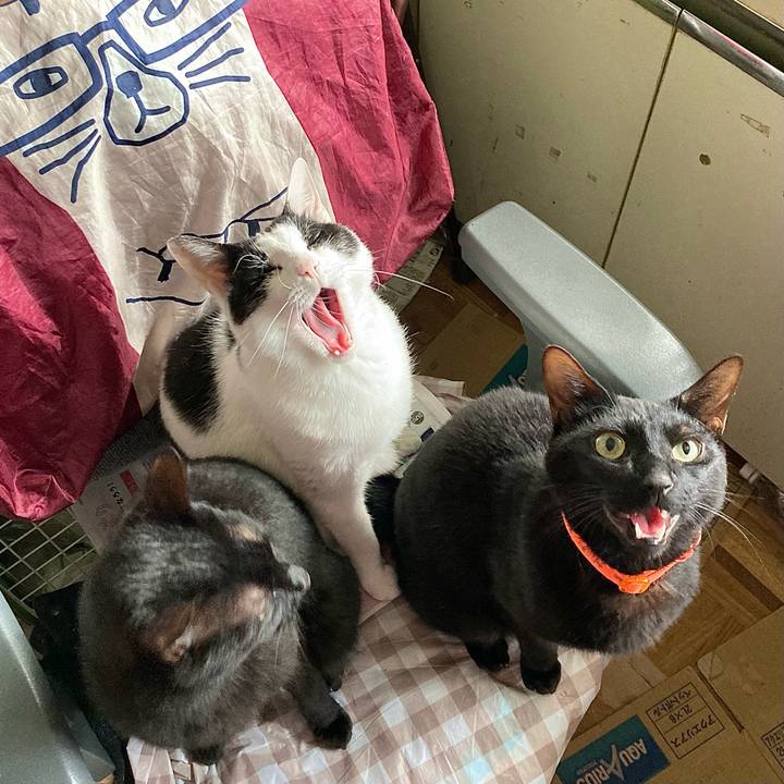 Caf6cc7a 4ab7 4df1 9f9c 240adc5f3a9d 1684890800793