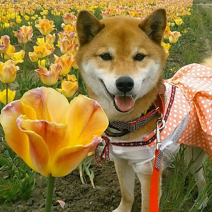 Caf6e65f ab24 499f b18e 513c946d9523 1555840003733