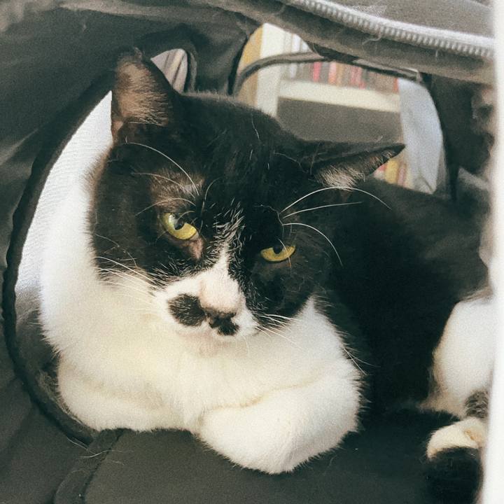 Caf6ea61 7998 44a4 a958 debcb8ced12d 1692612764256