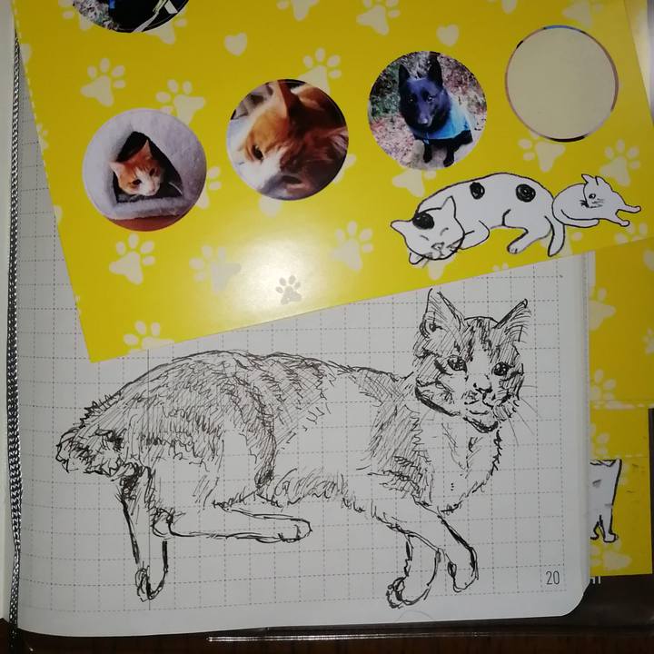 Caf772fe cc2a 44c6 b299 f3d71e4d0aef 1660774241288