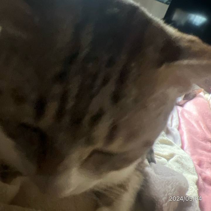 Caf78225 bbee 4324 a1bc 82e574b5a118 1714776984585