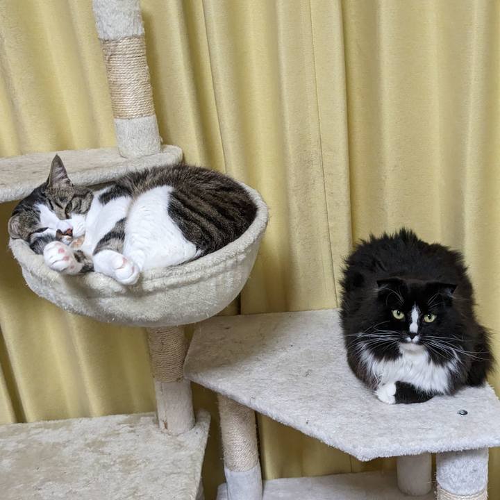 Caf78e36 c3c3 4ccf aced 8c095b23144b 1714293499224