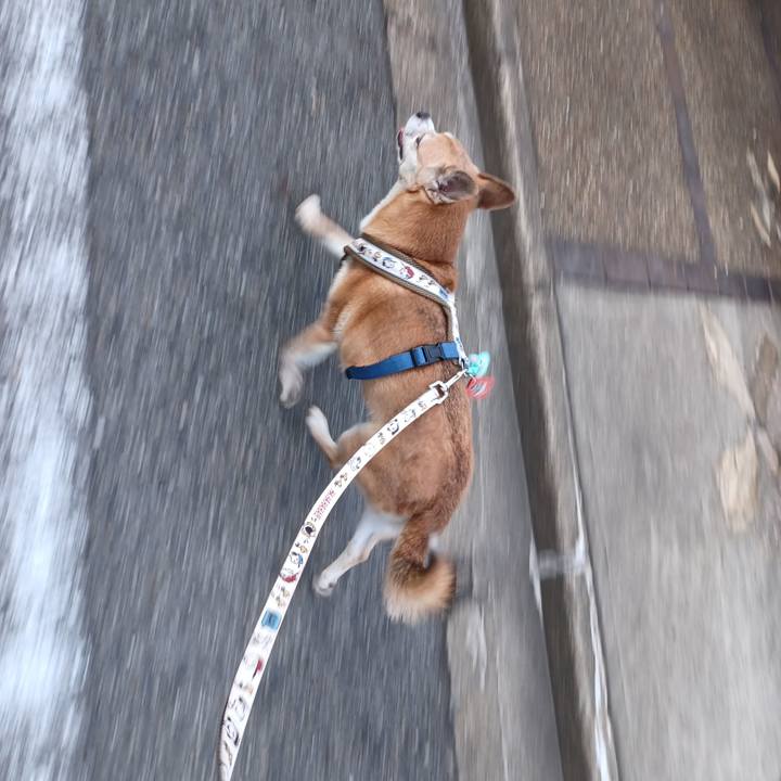 Caf7b53f c87f 493f a72d 49ecbcdcd07d 1755812324571