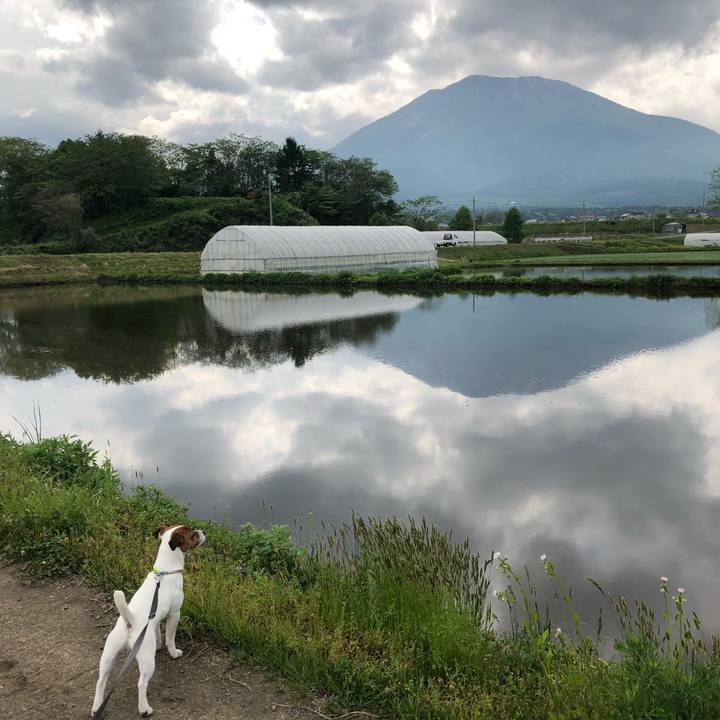 Caf7c747 9b78 4fe3 89f9 4e51eee7b661 1526548661499