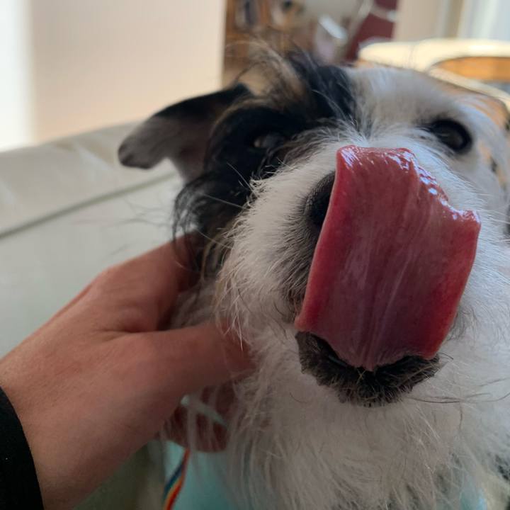 Caf7d9b8 9d81 4fc6 a6db ed4d5eb817d7 1645678081279