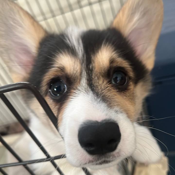 Caf7fd91 824d 4eec a7fa 4f82636fe544 1769387946437