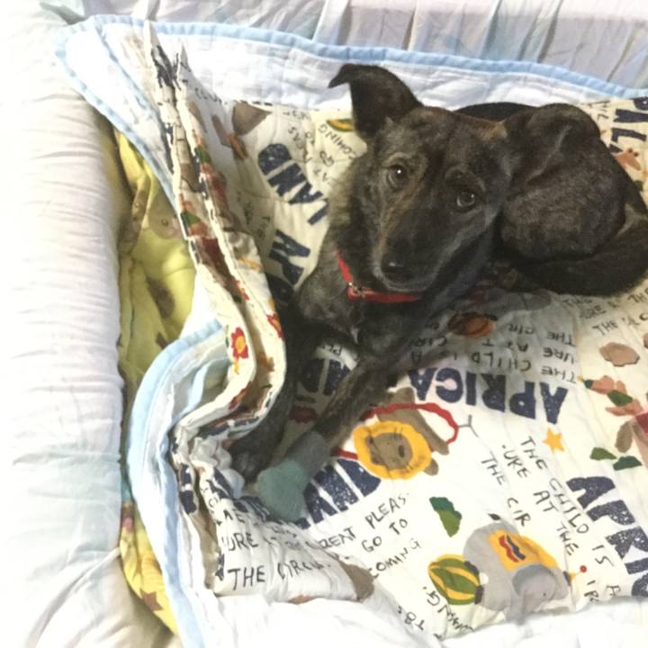 Caf82d15 e4a1 40da 9486 065ff5baa8ed 1542376490577