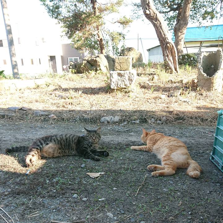 Caf83e7b e541 48bc 9dee 0226538685ec 1659167917753