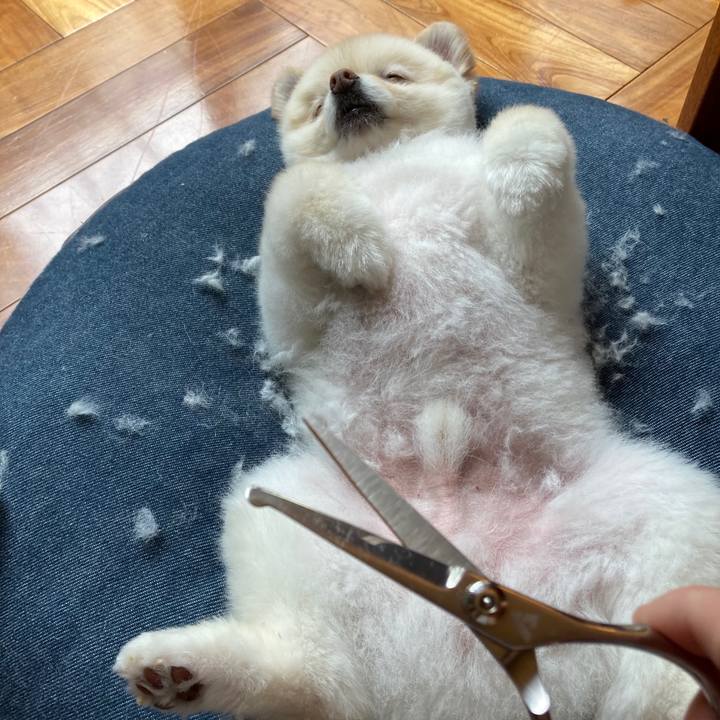 Caf844bb 5488 4123 adb6 548e7bf5b5e6 1623036865312