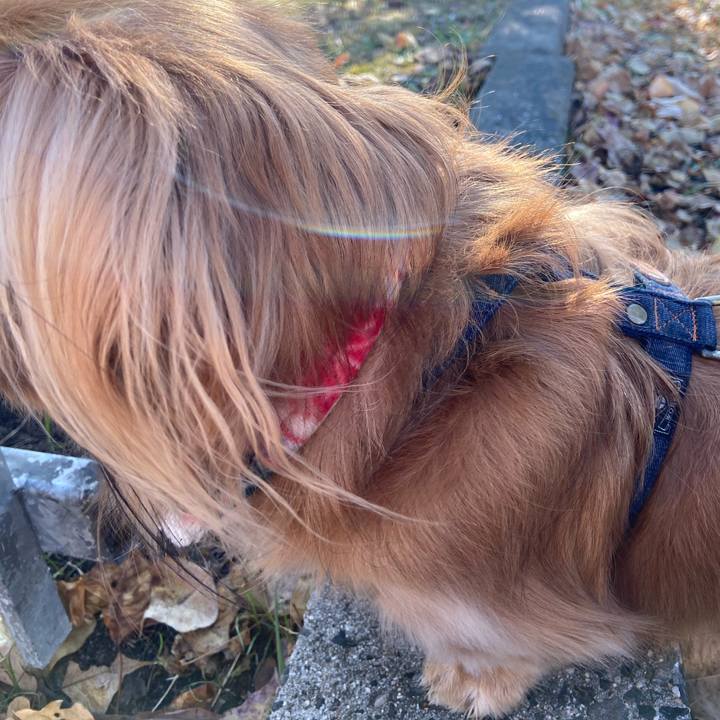 Caf86606 bb92 42d3 bcbb ae4a72c50eee 1575767123855