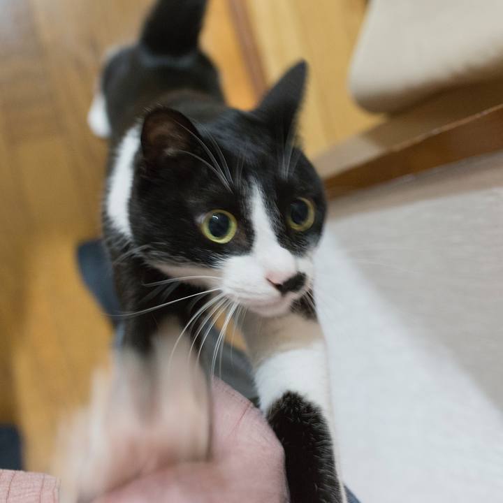 Caf88646 c2d8 4b97 9a9b c9a28d7fed14 1528414423754