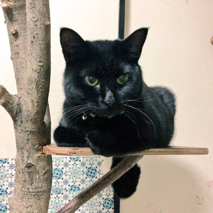 Caf8b963 465f 4c38 8785 599e4ea61557 1515934073740