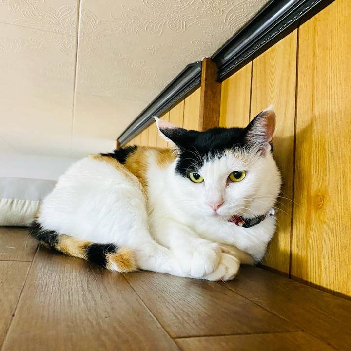 Caf8f796 e60d 4685 b381 b4e96e67f2ea 1685139639955