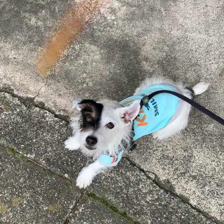 Caf927e6 eaeb 41f2 8395 1db8449c484a 1666916756449