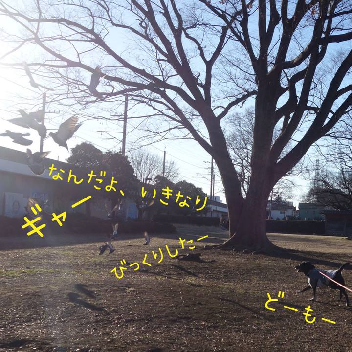 Caf937a6 98bc 4af9 ada7 4705782fd182 1706230933126