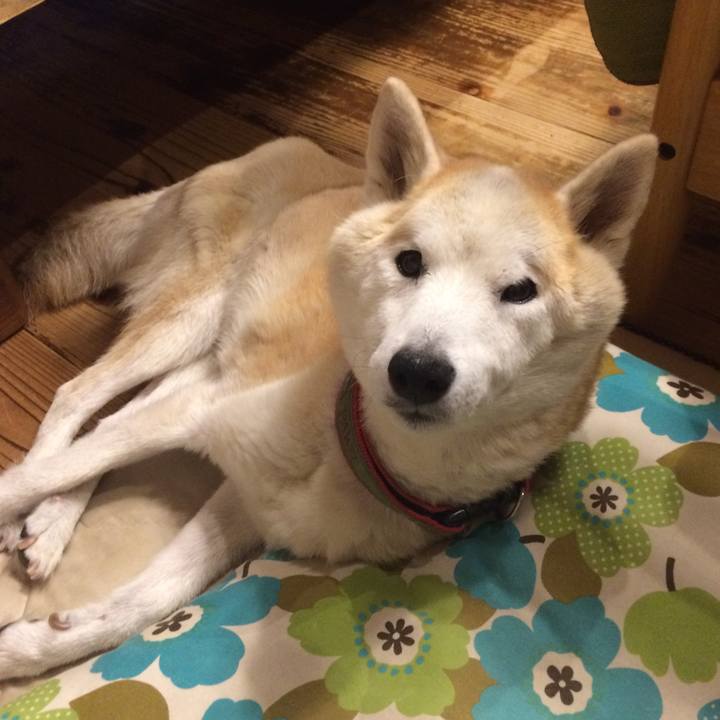 Caf94341 8f2a 458d 90ce 91b82145da8c 1570368364026