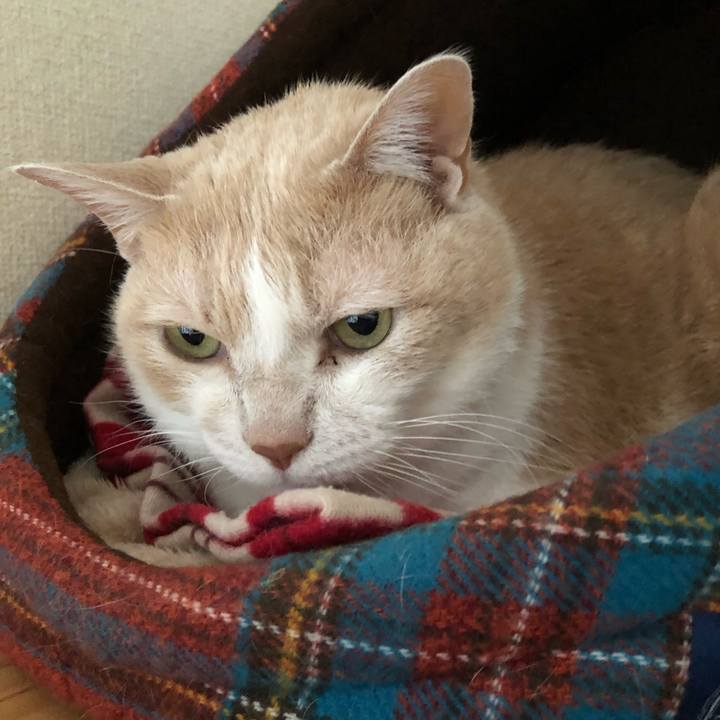 Caf95c59 c62a 4b5b 95bc 1a1058fba2c1 1611445639210