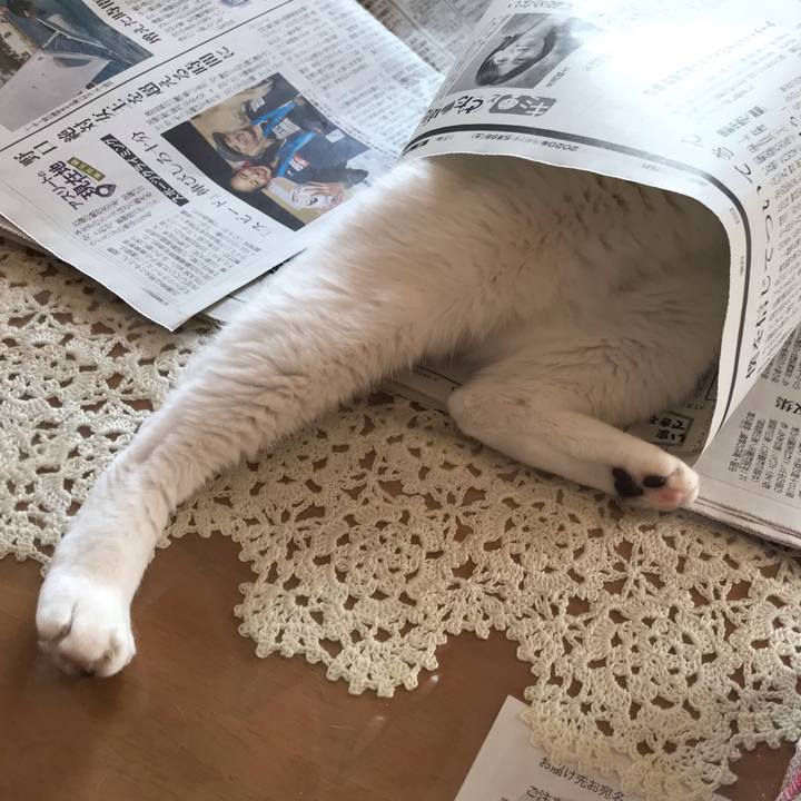 Caf967d4 11a9 40d7 99e2 90cf6f60e83c 1588977013108