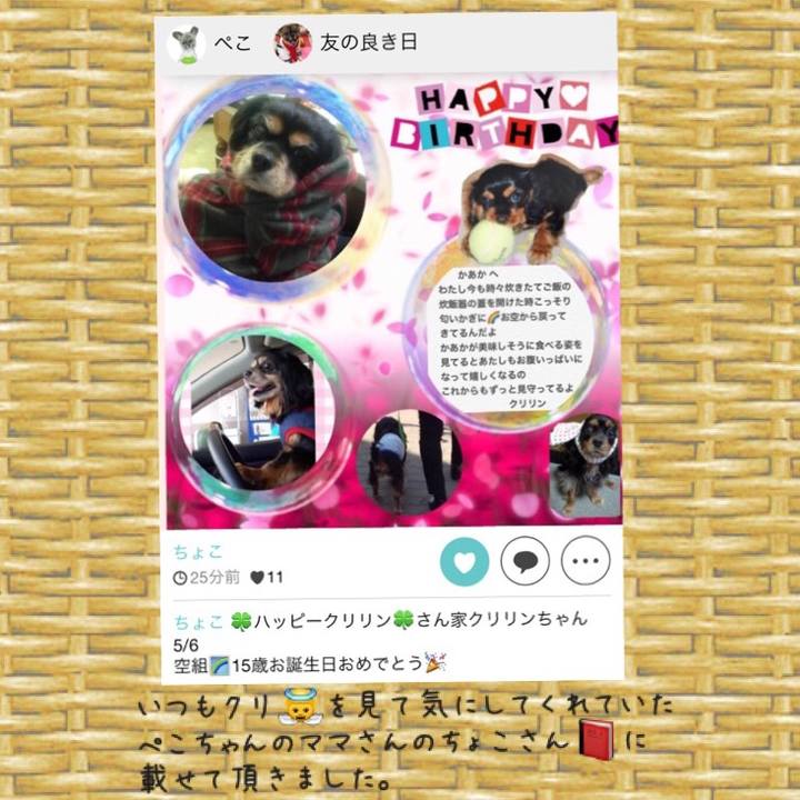 Caf989c0 b9b8 489c 9864 b3e89e6dcbab 1525681087836