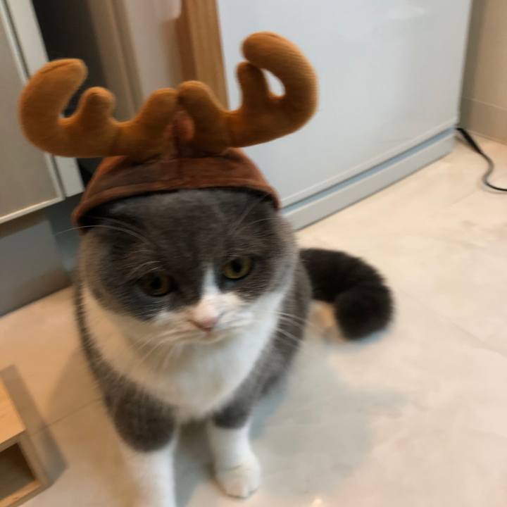 Caf9a9e4 3a43 4a51 9951 01f38cac37cb 1545722537121