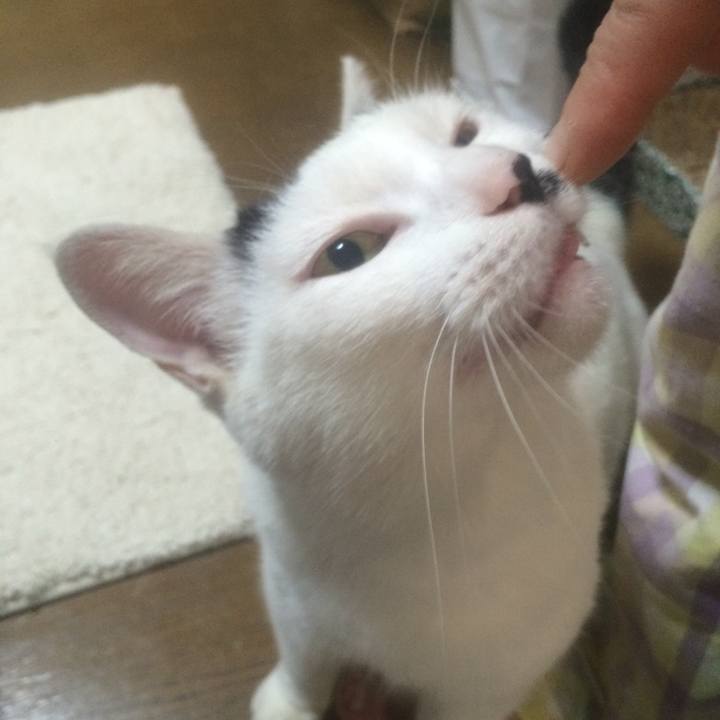 Caf9e4eb d392 4472 97da 3744ecce07ca 1539099441172