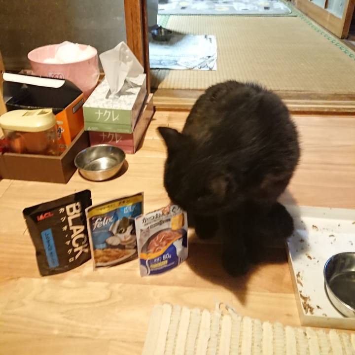 Cafa3f2d c22d 4473 9ba5 c204f113c12d 1622801467461