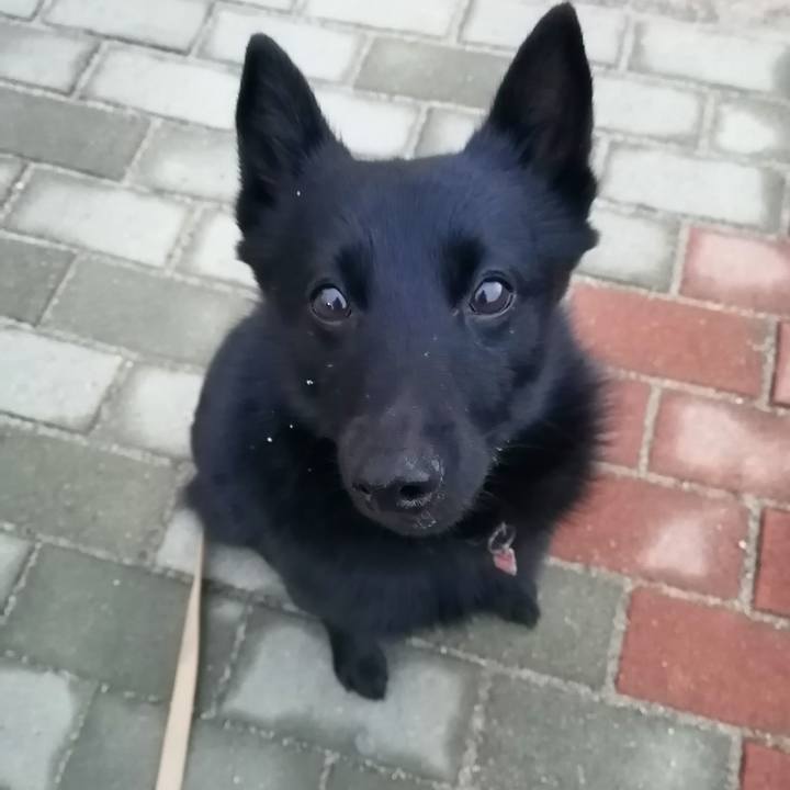 Cafa4ab1 8fab 4f3b b39a 2694634ba3b7 1611008397308